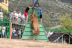 IMG_7198-290624