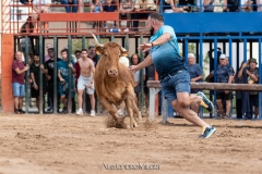 IMG_7248-290624