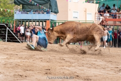 IMG_7264-290624