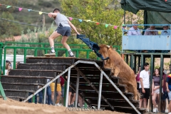 IMG_7286-290624