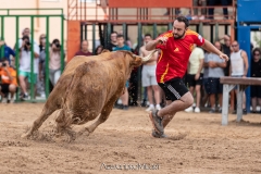 IMG_7311-290624