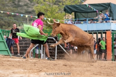 IMG_7375-290624