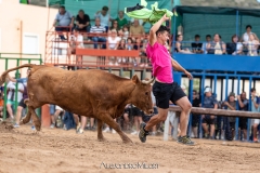 IMG_7380-290624
