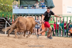 IMG_7403-290624
