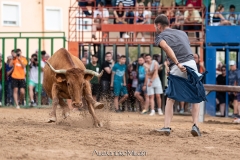 IMG_7455-290624