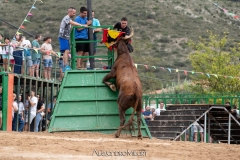 IMG_7572-290624