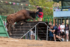 IMG_7589-290624