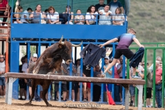 IMG_7615-290624