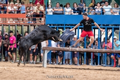 IMG_7653-290624