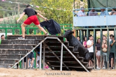IMG_7660-290624