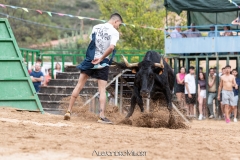 IMG_7723-290624