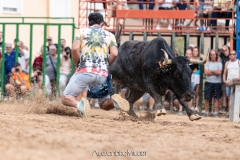 IMG_7749-290624