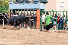 IMG_7785-290624