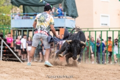 IMG_7815-290624