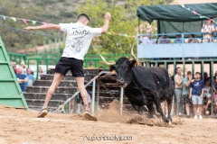 IMG_7841-290624