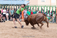 IMG_7952-290624