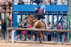 IMG_8054-290624