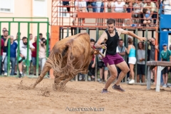 IMG_8120-290624