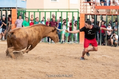 IMG_8144-290624