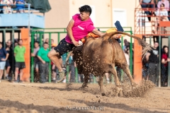 IMG_8163-290624