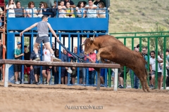 IMG_8246-290624