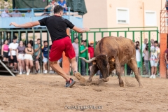 IMG_8393-290624