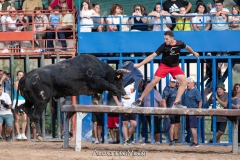 IMG_8433-290624