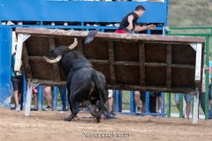 IMG_8440-290624