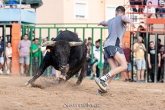 IMG_8466-290624