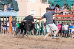 IMG_8479-290624