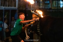 IMG_5941HD