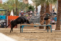 IMG_6045-280624