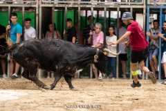 IMG_6098-280624