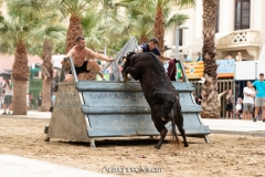 IMG_6123-280624