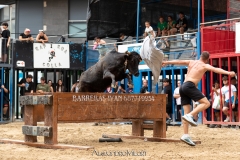 IMG_6176-280624