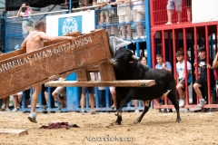 IMG_6297-280624