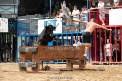 IMG_6342-280624