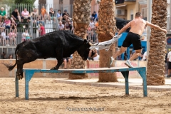 IMG_6428-280624