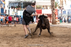 IMG_6544-280624