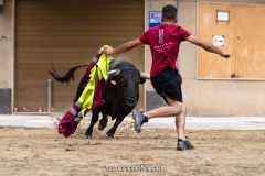 IMG_6615-280624