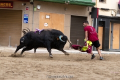 IMG_6623-280624