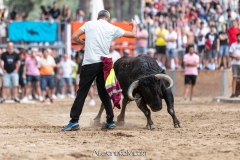 IMG_6670-280624