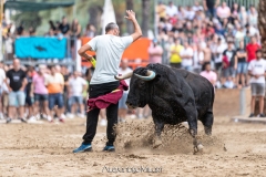 IMG_6675-280624