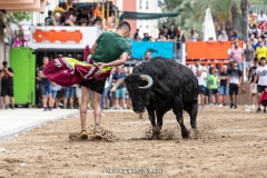 IMG_6692-280624