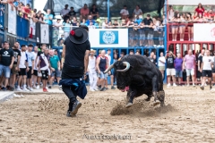 IMG_6705-280624