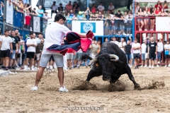 IMG_6731-280624