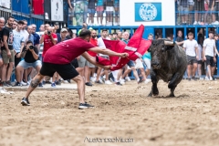 IMG_6776-280624