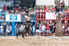 IMG_6799-280624-2