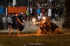IMG_6978-280624