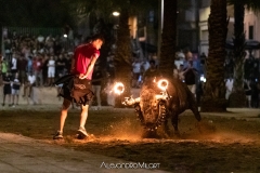 IMG_6990-280624